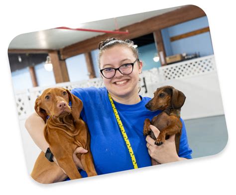 24 hour dog daycare - Overland Park Dog Daycare Socialization is so important for your pup! Drop them off for a few hours or all day to play in our daycare. Even if your pup doesn't play hard, regular interaction with other dogs and people is great for them. ... $24: Half Day (5 hours or less) $18: 10 Full Day Package: $220: 20 Full Day Package: $420: 30 Full Day ...